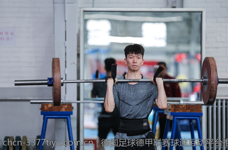 德国足球德甲联赛球迷互动平台推荐