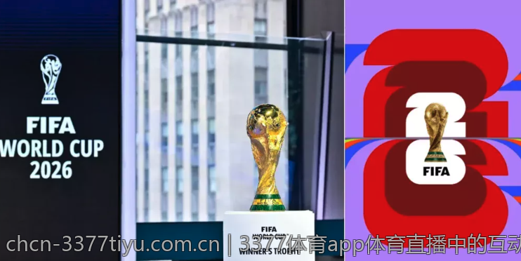 3377体育平台的社交功能与用户互动