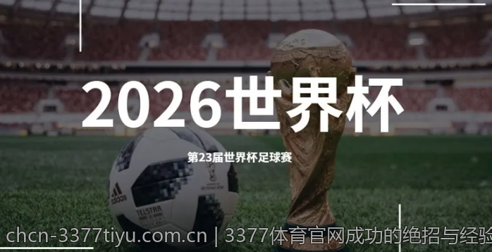 3377体育官网成功的绝招与经验分享